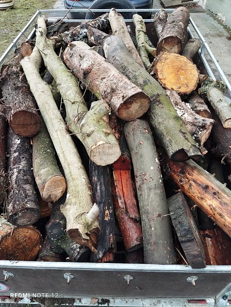 Dřevo na pořezání - tvrdé + měkké