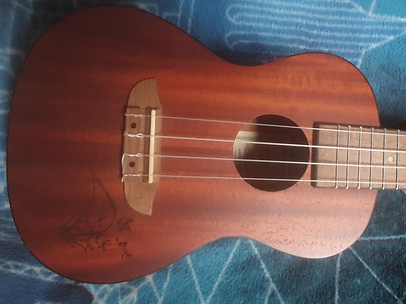 Prodám nové Ukulele Ortega Akustické