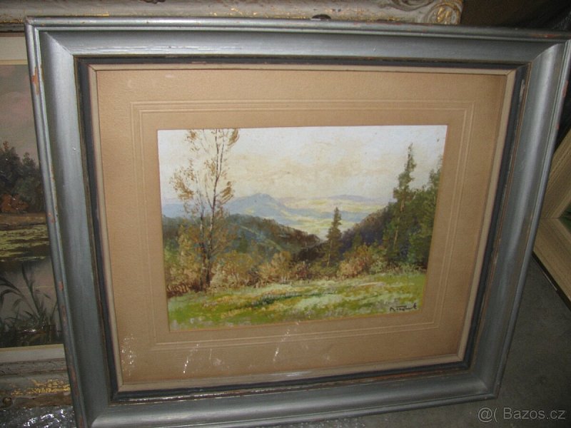 obraz ,,Pohled ze Zmrzlého na Frenštát,, 47x42 cm