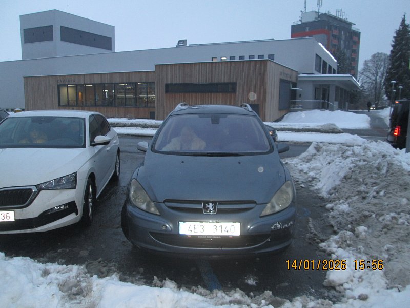 PEUGEOT SW