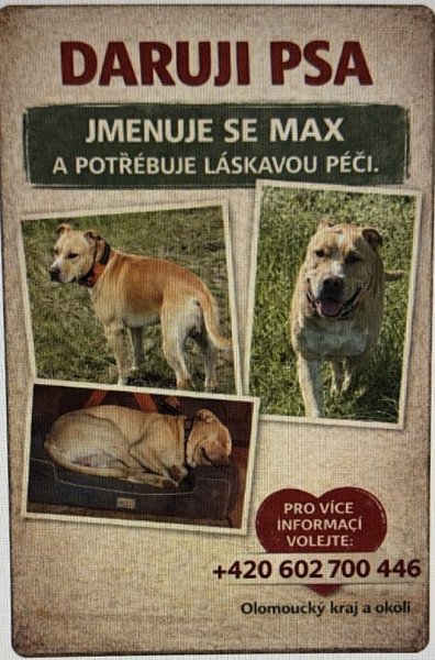 Pes AST. Max